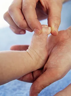 Alternative Medicine Prints: Baby's feet and toes being massaged, Print