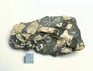 Images Dated 26th September 2002: Material from Chicxulub meteorite impact crater