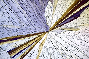 Polarised Light Micrograph Prints: Methyl sulphonal crystals, micrograph