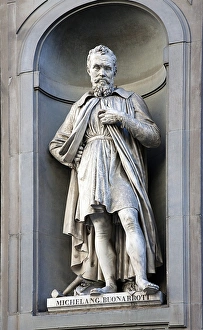 Michelangelo Art Prints: Michelangelo