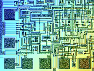 Microchip Print, x100 Magnification