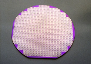 Images Dated 22nd October 2012: Microchips Print: Silicon Wafer with 800 Identical Microcircuits