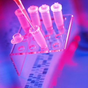 Microtubes, pipettor (pipette) tip & DNA sequence Microtubes, pipettor (pipette) tip & DNA sequence