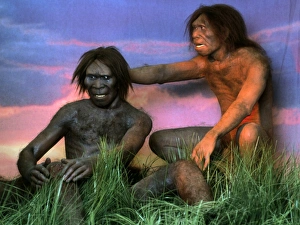 Models of Homo erectus men Models of Homo erectus men
