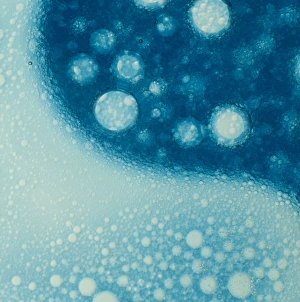 Molecular properties of different liquids Molecular properties of different liquids