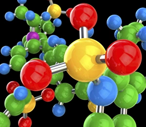 Molecular Structure Print