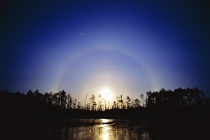 Moon dog Moon dog