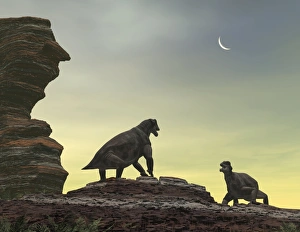 Prints of Moschops. Artwork of two Moschops about to fight on a sandstone mesa. This reptile lived around 255 million years ago in what is today the Karoo region of South Africa Images Dated 2010 June: Moschops Print: A 5-metre Herbivore on a Sandstone Mesa