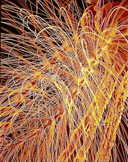 Prints of Moth antennae. Coloured scanning electron micrograph (SEM) of the antennae of a moth (order Lepidoptera) Images Dated 2006 June: Moth Antennae Print, SEM