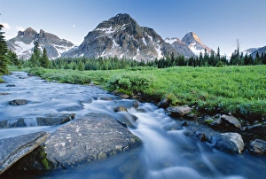 Canadian Mountain Landscapes Prints: Mount Assiniboine