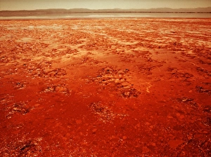 Mars Mud Print