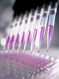 Laboratory Equipment Prints: Multi-pipette