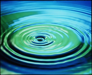 Prints of Water ripples. Multiple concentric waves or ripples move outwards from the impact of a water drop in a pool Images Dated 1998 November: Water Ripples Print