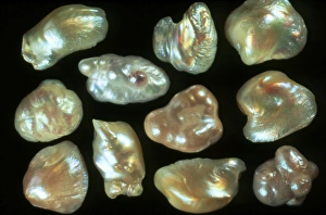Natural freshwater pearls Natural freshwater pearls