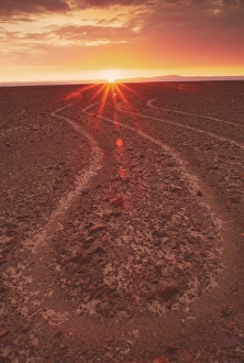 Prints of Nazca lines representing part of the leg of a spider, seen from the ground at sunrise. There are hundreds of geoglyphs, or landscape drawings, in the coastal desert of southern Peru Images Dated 2001 March: Print of a stylised spider leg geoglyph seen from the ground at sunrise