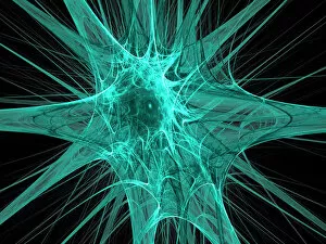 Images Dated 20th June 2007: Nerve cells, abstract artwork
