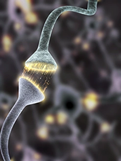 Nerve Synapse Print