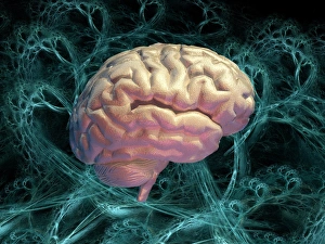 Artificial Intelligence Concept Prints: Neural network, computer artwork