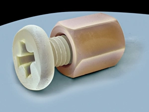 Scanning Electron Microscope Photos Prints: Nut and bolt, SEM