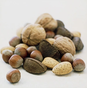 Protein Rich Foods Prints: Nuts