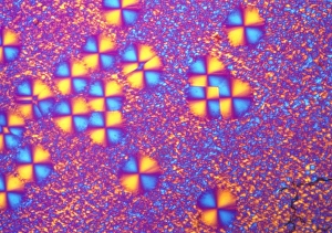 Nylon 6 crystals Nylon 6 crystals