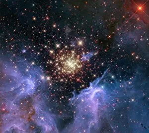 Open star cluster NGC 3603, HST image