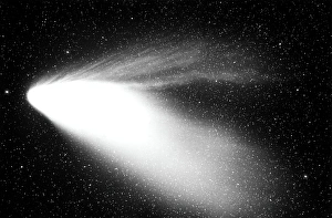 Optical image of comet Hale-Bopp Optical image of comet Hale-Bopp