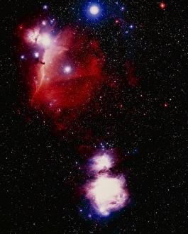 Optical image of Horsehead and Great Orion nebula Optical image of Horsehead and Great Orion nebula