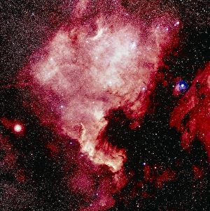 Optical image of the North America nebula Optical image of the North America nebula