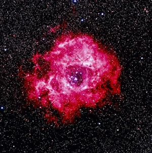 Optical image of the Rosette nebula NGC 2237-2239 Optical image of the Rosette nebula NGC 2237-2239