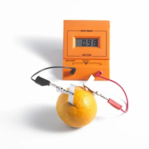 Images Dated 2011 October: Orange Battery Print: Copper and Zinc Electrodes in an Orange