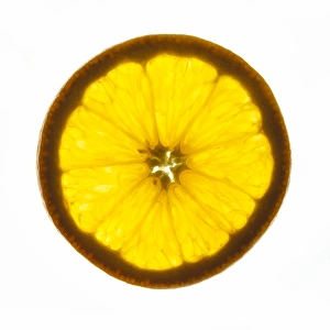 Prints of Orange slice Images Dated 2008 November: Orange slice Print