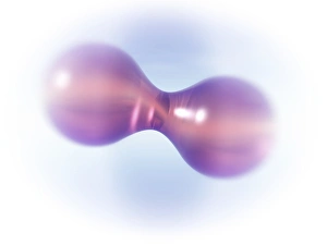 Prints of Oxygen molecule, computer artwork. Molecular model of an oxygen molecule (O2). Two oxygen atoms (purple) are joined together. Oxygen is a colourless, odourless gas and is part of the chalcogen group Images Dated 2010 December: Oxygen Molecule Print, a Computer Artwork of O2