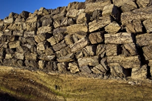 Goldenstedter Moor Prints: Peat stack C018 / 0881