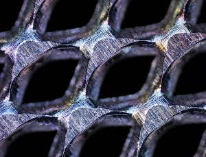 Light Microscope Images Prints: Perforated steel sheet, light micrograph