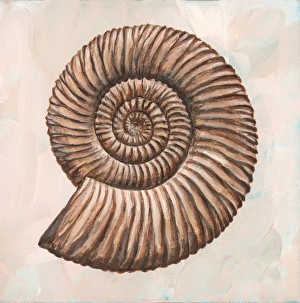 Prehistoric Sea Creatures Prints: Perisphinctes ammonite, artwork