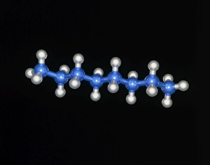 Petrol constituent n-octane molecule Petrol constituent n-octane molecule
