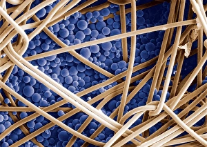 Phase change material, SEM Phase change material, SEM
