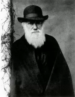 Images Dated 3rd January 2003: Photograph of Charles Darwin in 1881, aged 72