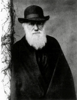 Photograph of Charles Darwin in 1881, aged 72 Photograph of Charles Darwin in 1881, aged 72