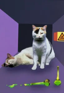 Images Dated 28th May 2003: Computer graphic print of Schrodingers Cat in a box