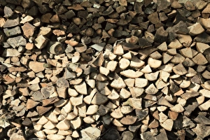 Split Firewood Prints: Pile of logs
