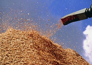 Pile of woodchips at a sawmill Pile of woodchips at a sawmill