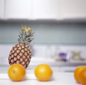 Prints of Pineapple and oranges. Pineapple (Ananas sp.) and oranges (Citrus sinensis) are good sources of dietary fibre and vitamin C Images Dated 2003 November: Pineapple and Oranges Print
