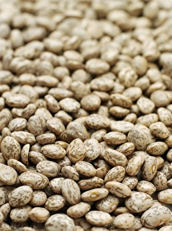 Legume Images Prints: Pinto beans