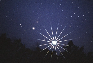 Planets Venus & Saturn over silhouetted trees Planets Venus & Saturn over silhouetted trees