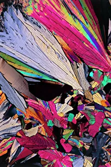 Polarised Light Micrograph Print of Testosterone Crystals