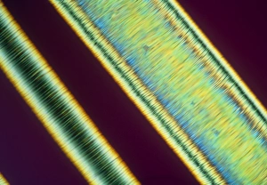 PLM of a synthetic liquid crystal polymer fibres PLM of a synthetic liquid crystal polymer fibres