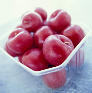 Fruit Photography Studio Prints: Plums