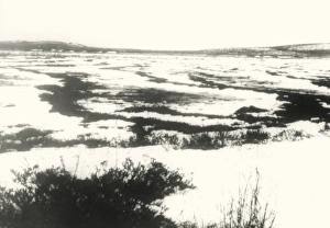 Podkamennaya Tunguska Valley in 1927 Podkamennaya Tunguska Valley in 1927